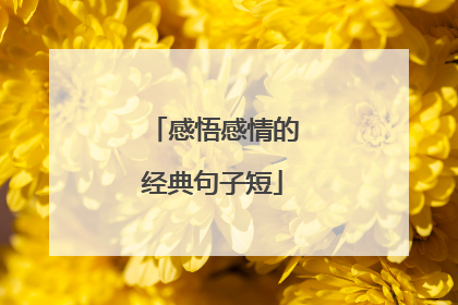 感悟感情的经典句子短