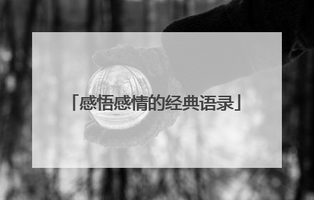 感悟感情的经典语录
