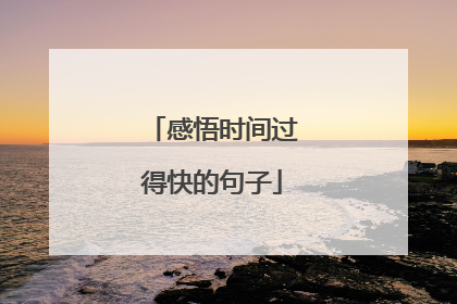 感悟时间过得快的句子