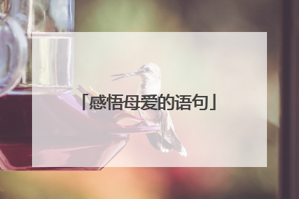 感悟母爱的语句