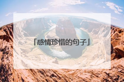 感情珍惜的句子