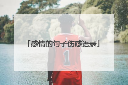 感情的句子伤感语录