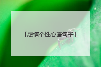 感情个性心语句子