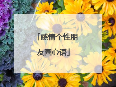 感情个性朋友圈心语