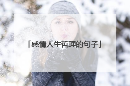 感情人生哲理的句子