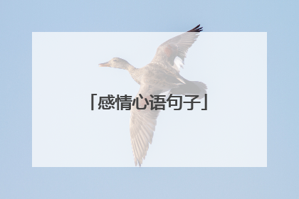 感情心语句子