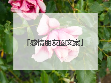 感情朋友圈文案