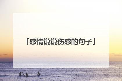 感情说说伤感的句子