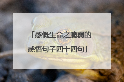 感慨生命之脆弱的感悟句子四十四句