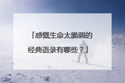 感慨生命太脆弱的经典语录有哪些？