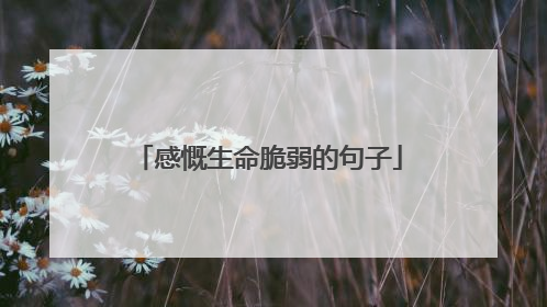 感慨生命脆弱的句子