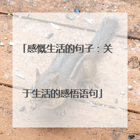 感慨生活的句子:关于生活的感悟语句