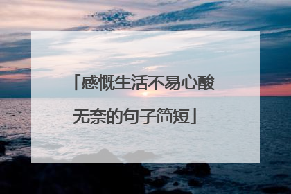 感慨生活不易心酸无奈的句子简短