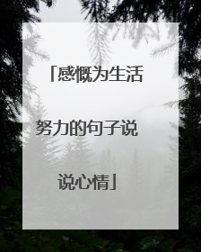 感慨为生活努力的句子说说心情