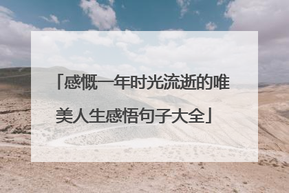 感慨一年时光流逝的唯美人生感悟句子大全