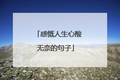 感慨人生心酸无奈的句子