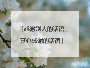 感激别人的话语_真心感谢的话语