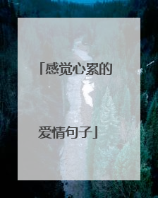 感觉心累的爱情句子