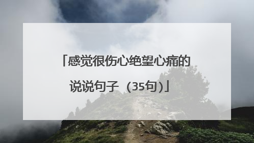 感觉很伤心绝望心痛的说说句子 (35句)