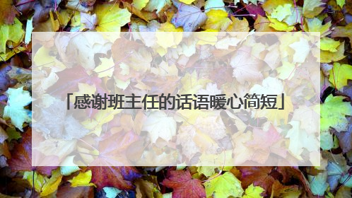 感谢班主任的话语暖心简短