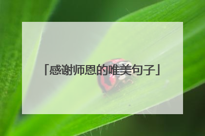 感谢师恩的唯美句子