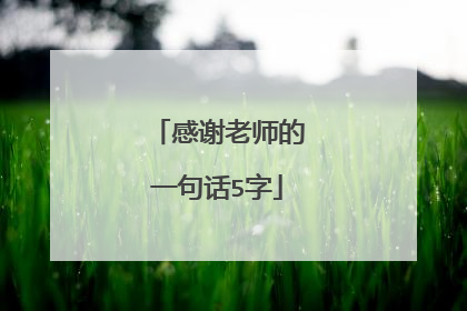 感谢老师的一句话5字