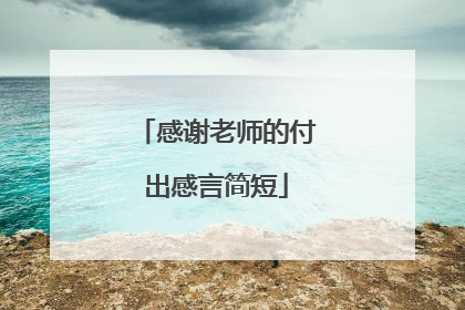 感谢老师的付出感言简短