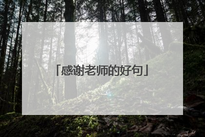 感谢老师的好句