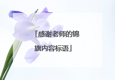 感谢老师的锦旗内容标语