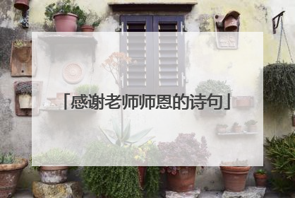 感谢老师师恩的诗句