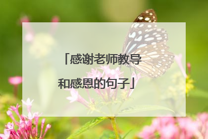感谢老师教导和感恩的句子