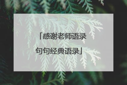 感谢老师语录句句经典语录