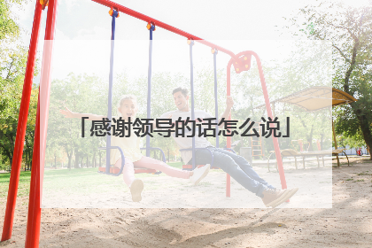 感谢领导的话怎么说