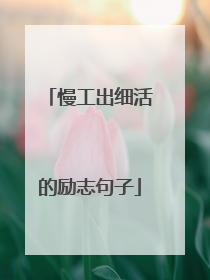 慢工出细活的励志句子