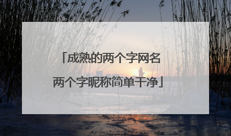 成熟的两个字网名 两个字昵称简单干净