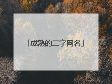 成熟的二字网名