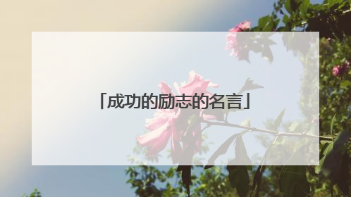 成功的励志的名言
