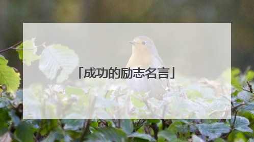 成功的励志名言