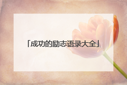 成功的励志语录大全