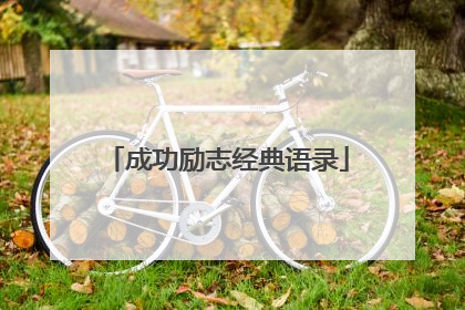 成功励志经典语录