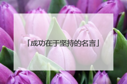成功在于坚持的名言
