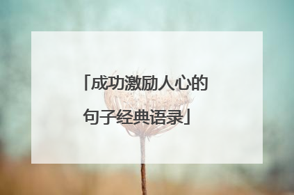 成功激励人心的句子经典语录