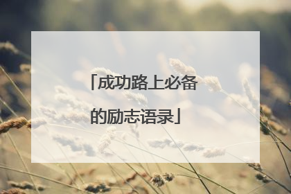 成功路上必备的励志语录