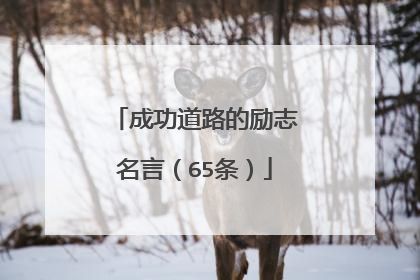 成功道路的励志名言（65条）