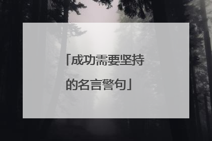 成功需要坚持的名言警句