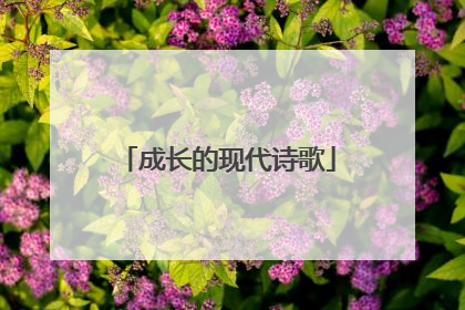 成长的现代诗歌