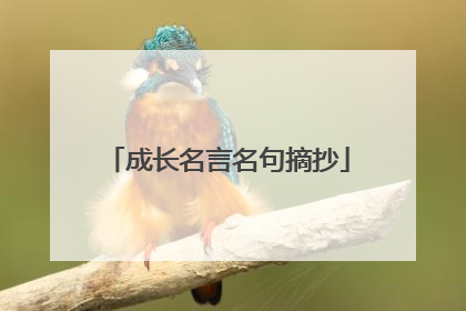 成长名言名句摘抄