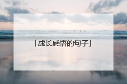 成长感悟的句子