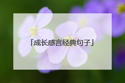 成长感言经典句子