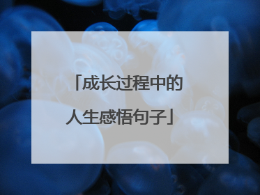 成长过程中的人生感悟句子